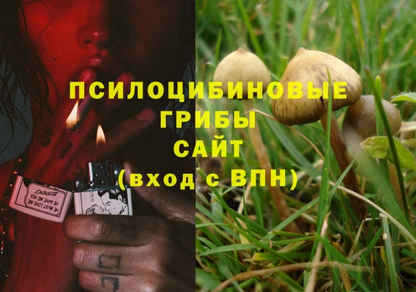 PSILOCYBIN Володарск