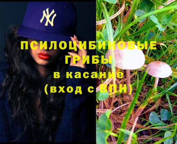 мдма Краснослободск