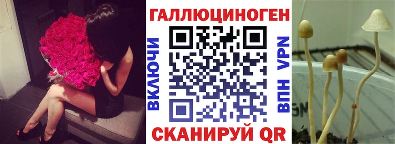 Галлюциногенные грибы Magic Shrooms  Норильск 