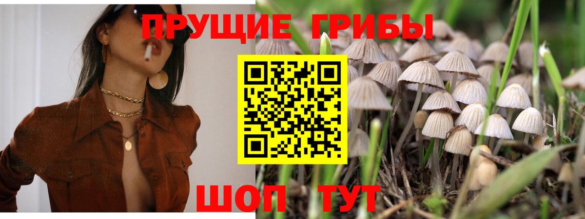 Галлюциногенные грибы MAGIC MUSHROOMS  Вход с VPN  Норильск 