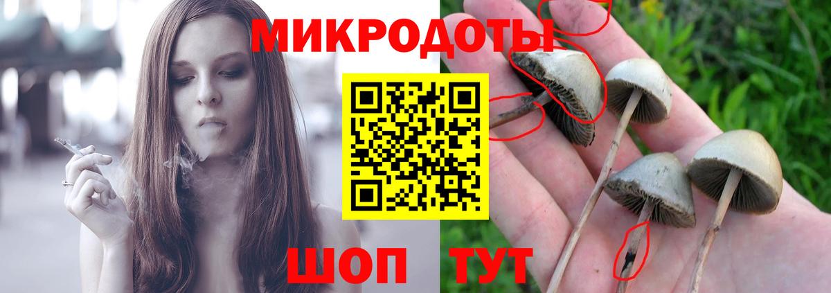 Псилоцибиновые грибы Psilocybine cubensis Норильск